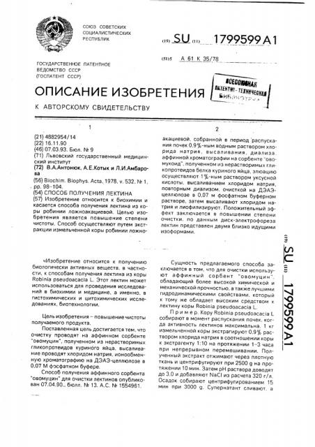 Способ получения лектина (патент 1799599)