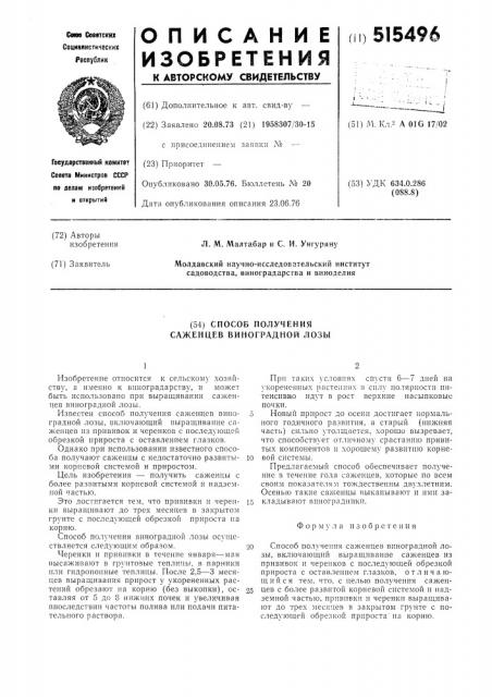 Способ получения саженцев виноградной лозы (патент 515496)