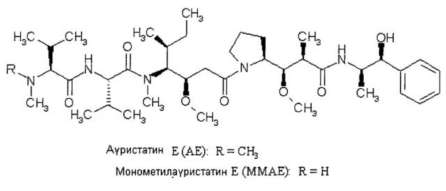 Новые конъюгаты связывающее соединение - активное соединение (adc) и их применение (патент 2610336)