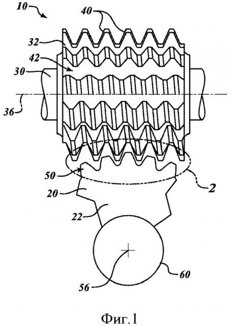 Червячная фреза с непостоянными полными высотами для нарезания зубьев зубчатого колеса (патент 2664496)