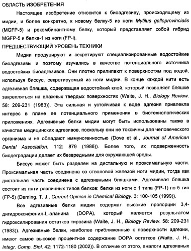 Биоадгезив мидии (патент 2349599)