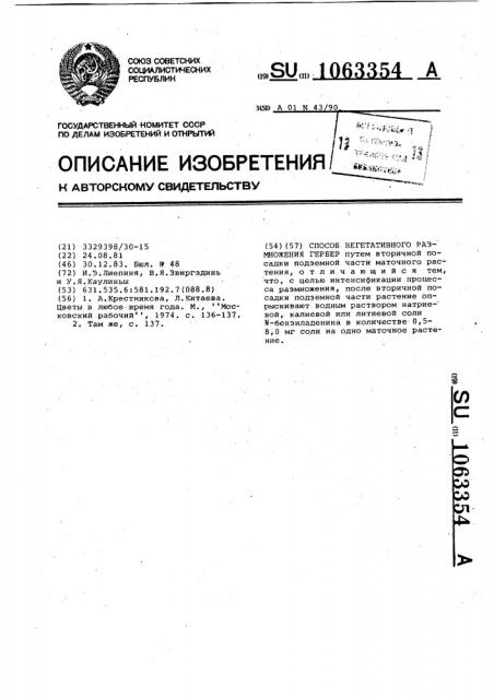 Способ вегетативного размножения гербер (патент 1063354)