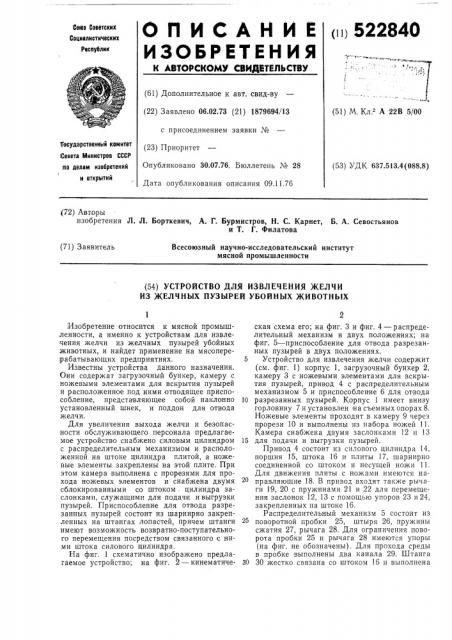 Устройство для извлечения желчи из желчных пузырей убойных животных (патент 522840)