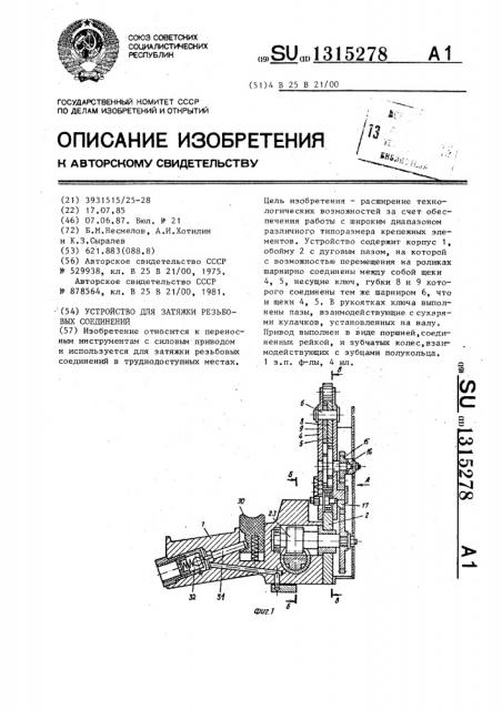 Устройство для затяжки резьбовых соединений (патент 1315278)