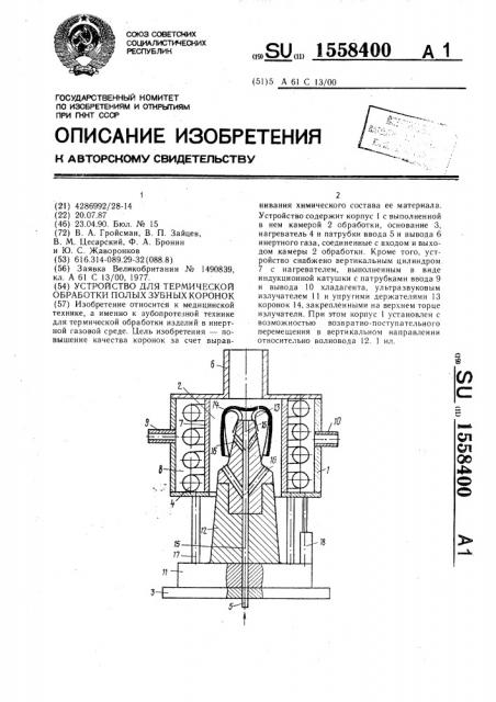 Устройство для термической обработки полых зубных коронок (патент 1558400)