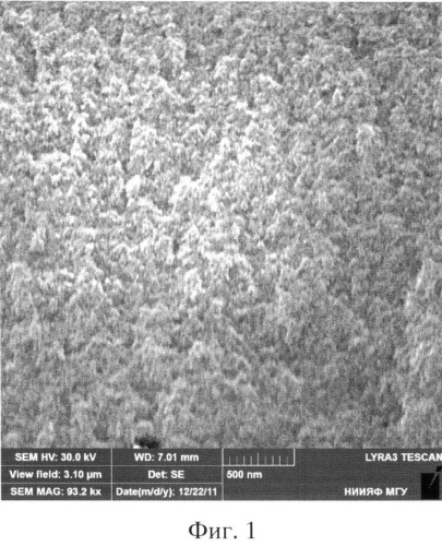 Способ получения водной суспензии биосовместимых пористых кремниевых наночастиц (патент 2504403)