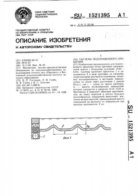 Система подпочвенного орошения (патент 1521395)