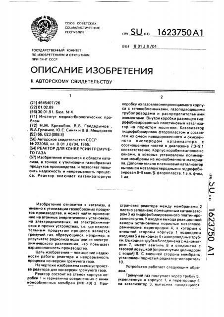Реактор для конверсии гремучего газа (патент 1623750)