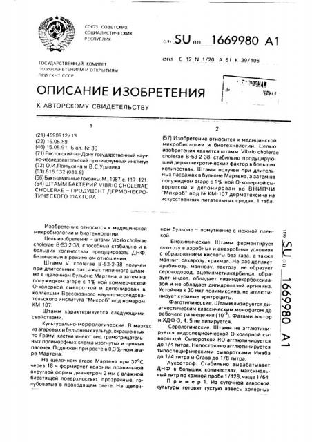 Штамм бактерий viвriо сноlеrае сноlеrае - продуцент дермонекротического фактора (патент 1669980)