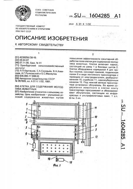 Клетка для содержания молодняка животных (патент 1604285)