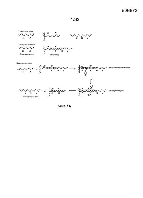 Трансляторы, изолирующие посредством чередования (патент 2599444)