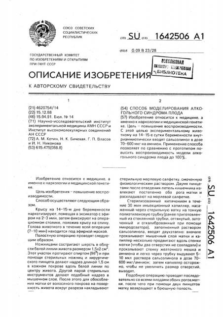 Способ моделирования алкогольного синдрома плода (патент 1642506)