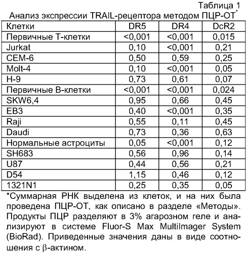 Антитело, селективное в отношении рецептора лиганда, индуцирующего апоптоз и связанного с фактором некроза опухоли, и его применение (патент 2313537)