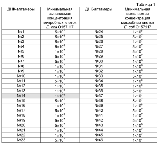 Последовательность днк-аптамеров, связывающаяся с бактериями escherichia coli o157:h7 (патент 2566551)