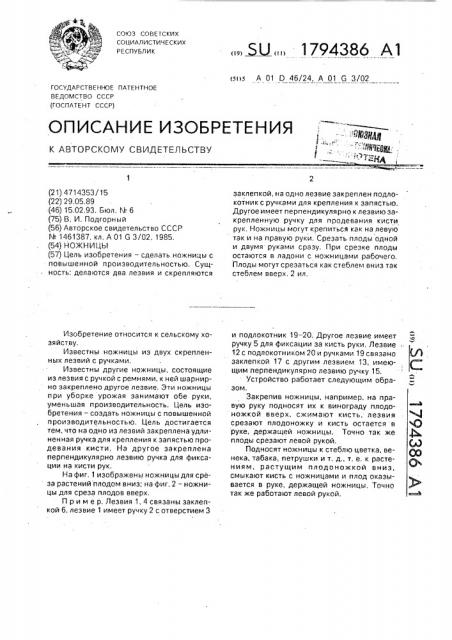 Ножницы (патент 1794386)