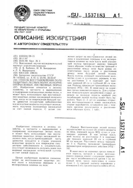 Способ восстановления полезащитных лесных полос из корнеотпрысковых лиственных пород (патент 1537183)