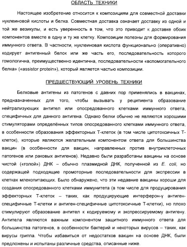 Способ усиления иммунного ответа при вакцинации нуклеиновой кислотой (патент 2311911)