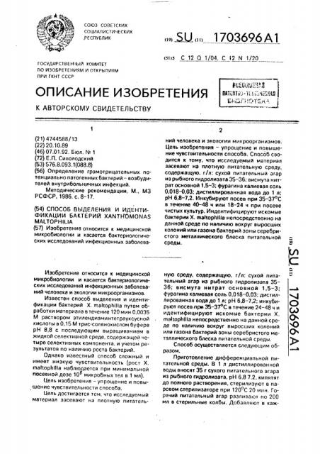 Способ выделения и идентификации бактерий хаnтномоnаs маlторнiliа (патент 1703696)