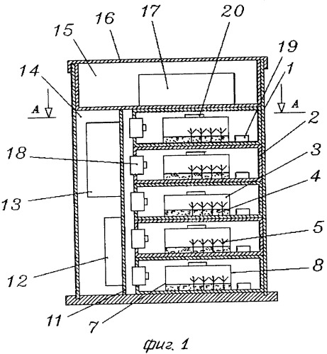 Устройство для обработки растительного материала (патент 2555590)