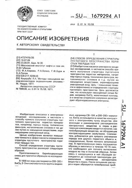 Способ определения структуры пустотного пространства пористых твердых тел (патент 1679294)