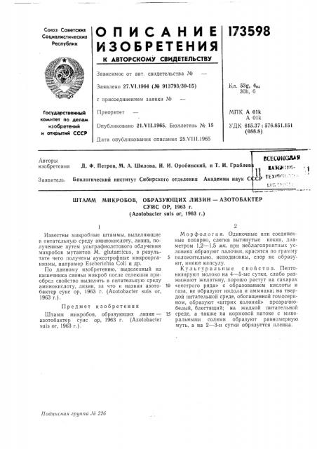 Штамм микробов, образующих лизин —азотобактерсуис ор, 1963 г. (azotobacter suis or, 1963 г.) (патент 173598)