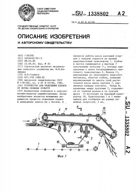 Устройство для отделения плодов от ботвы овощных культур (патент 1338802)