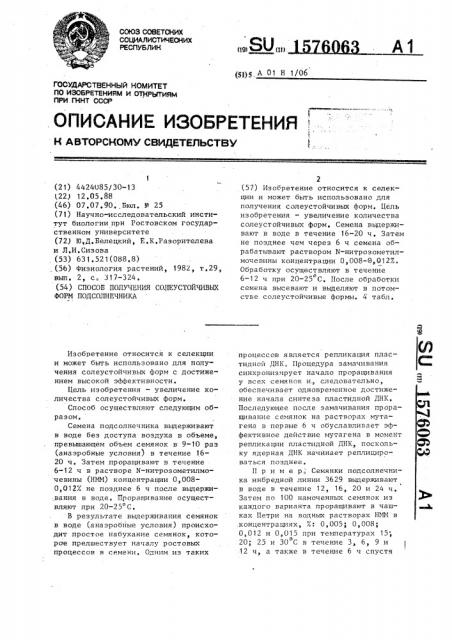 Способ получения солеустойчивых форм подсолнечника (патент 1576063)