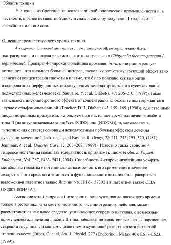 Способ продукции 4-гидрокси-l-изолейцина (патент 2402608)