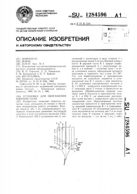 Установка для обогащения озерной соли (патент 1284596)