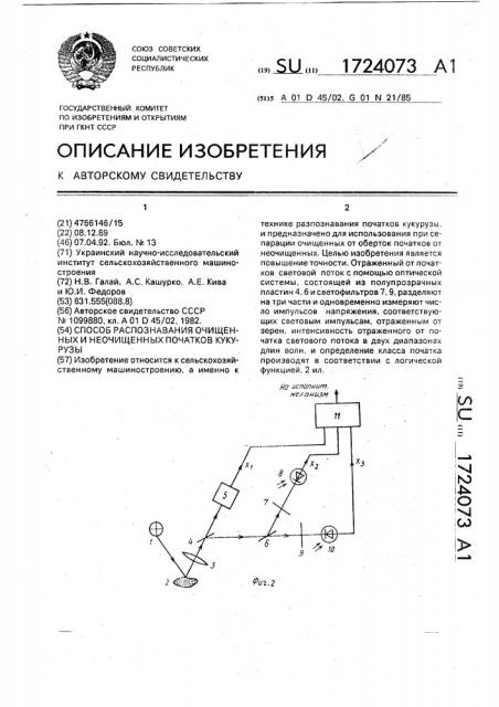 Способ распознавания очищенных и неочищенных початков кукурузы (патент 1724073)