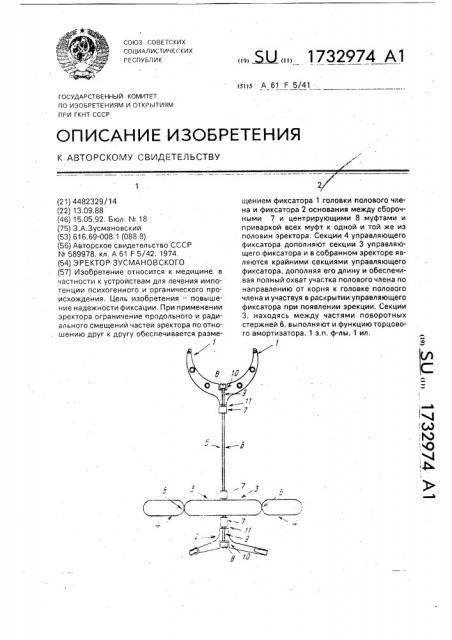Эректор зусмановского (патент 1732974)